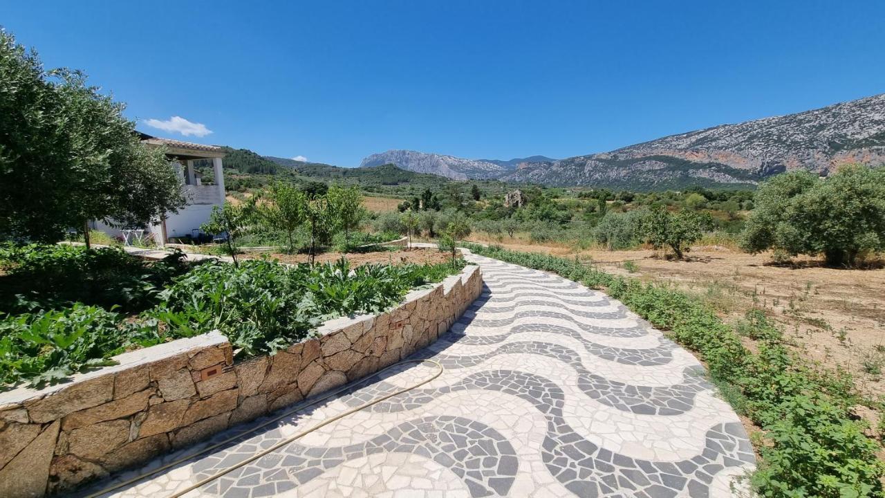 Villa Biriculi Dorgali Eksteriør billede
