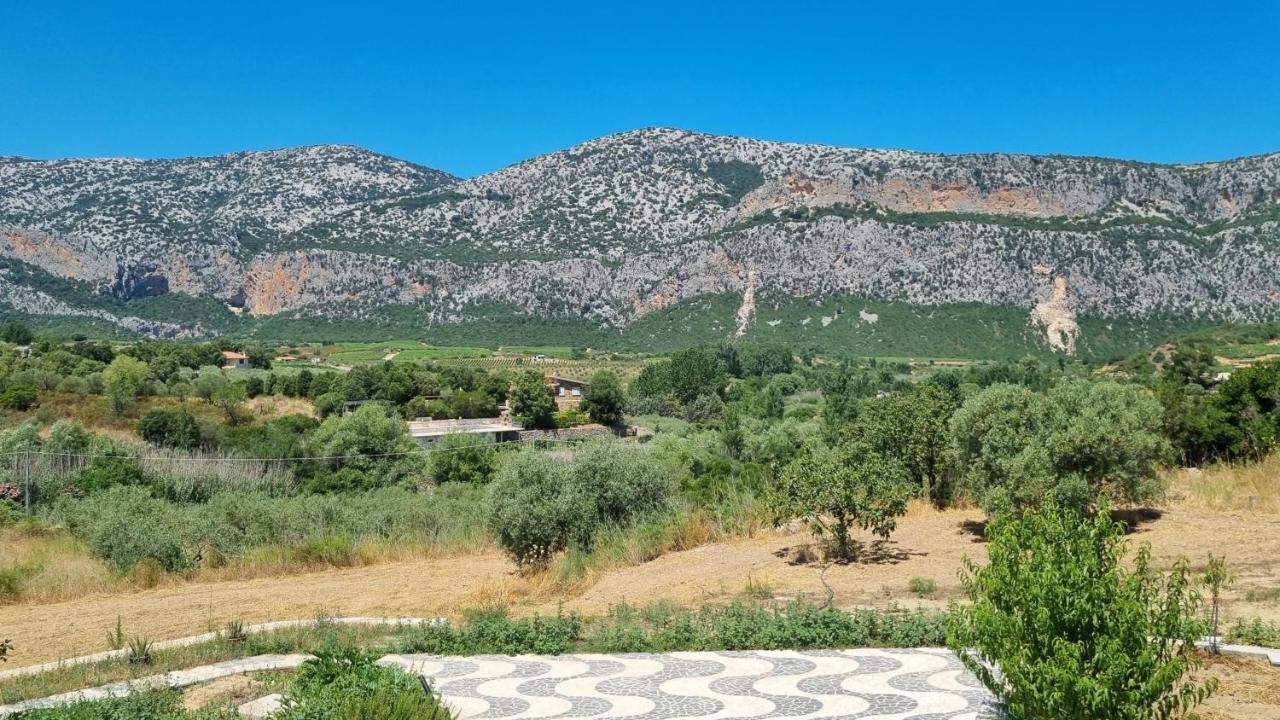 Villa Biriculi Dorgali Eksteriør billede