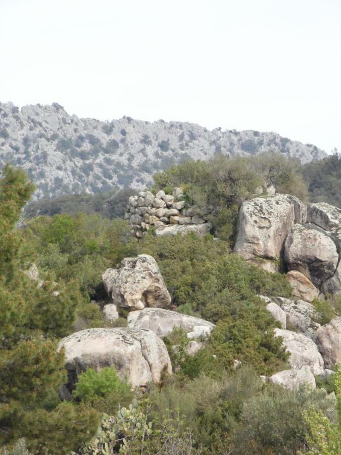 Villa Biriculi Dorgali Eksteriør billede